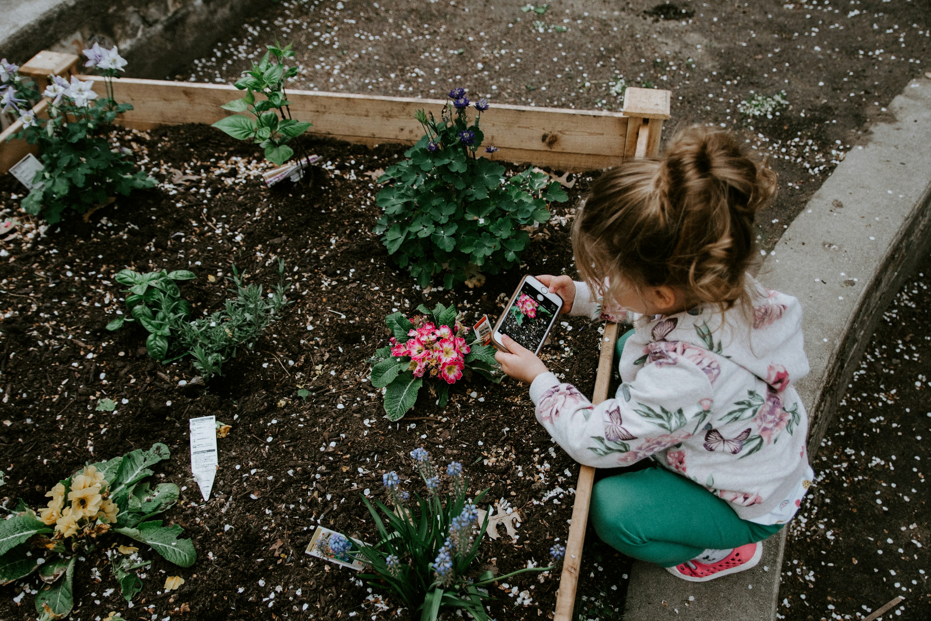 How Do I Control Weeds In My Garden?