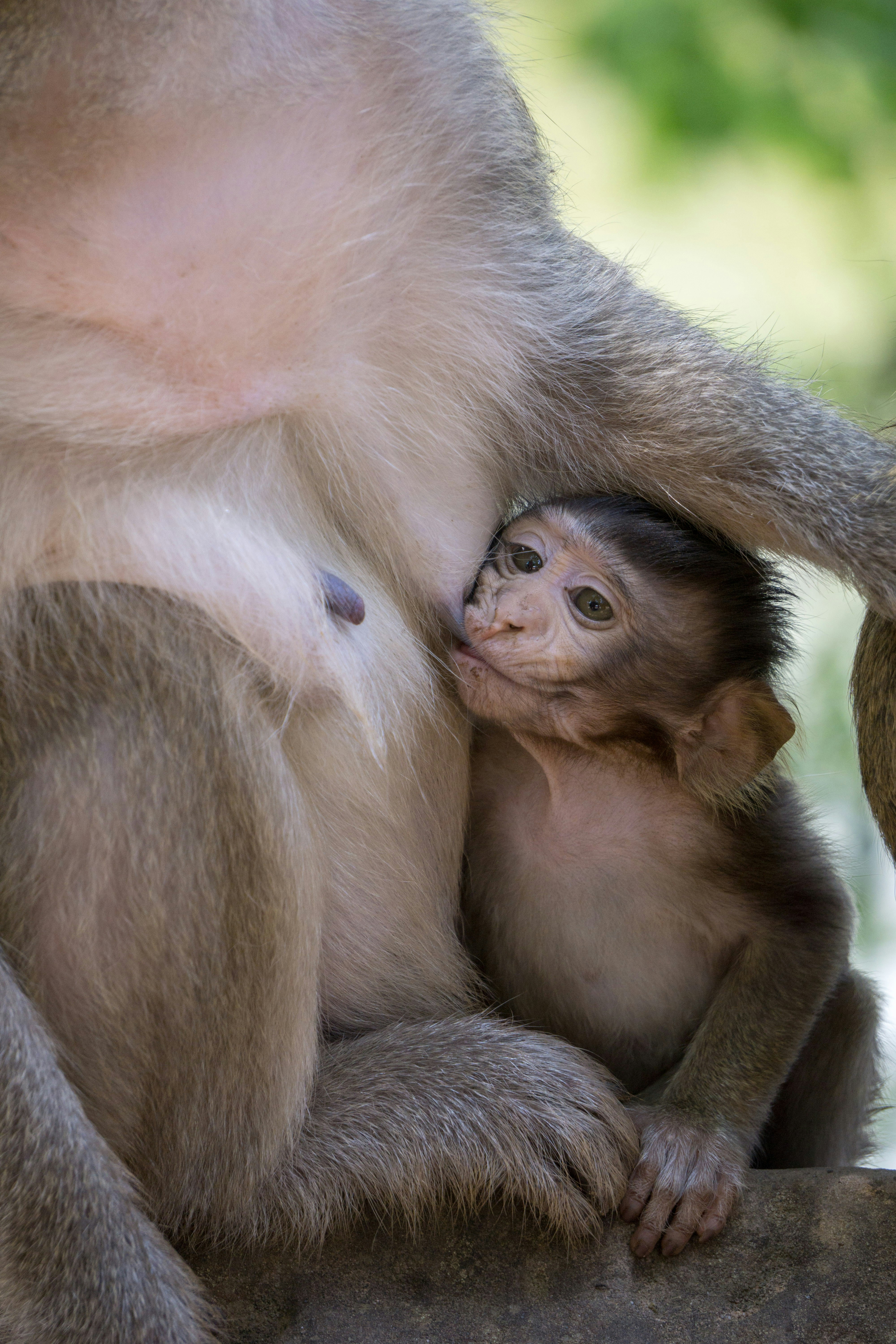 华为手机桌面字体颜色，个性与实用的视觉表达