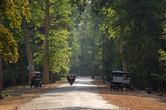 person riding bicycle on the middle of the road in Angkor Wat Cambodia
