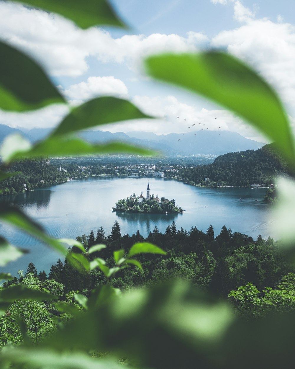 Aerial view of Lake Bled in Slovenia showing the island church and Bled Castle against the Julian Alps