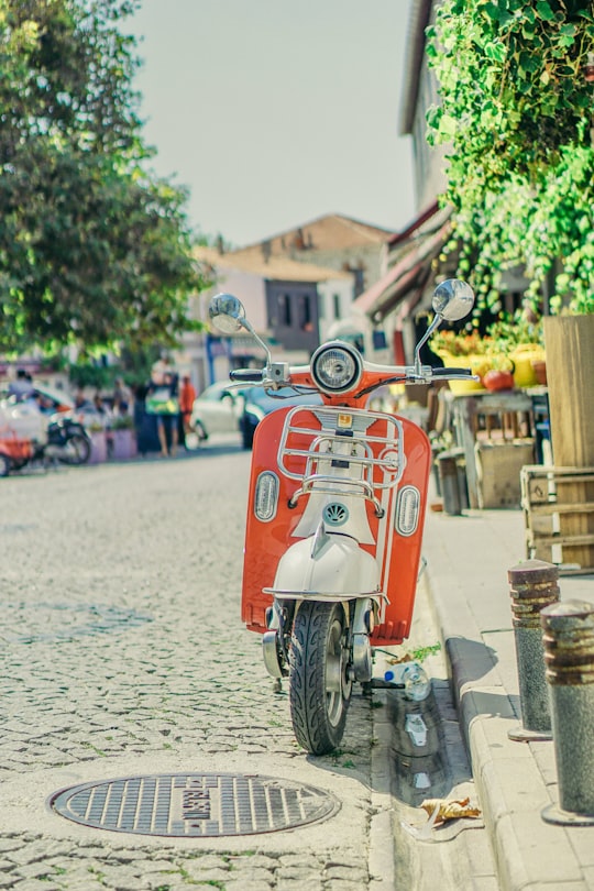 red and gray motor scooter parked near green leaf plants in Alaçatı Turkey