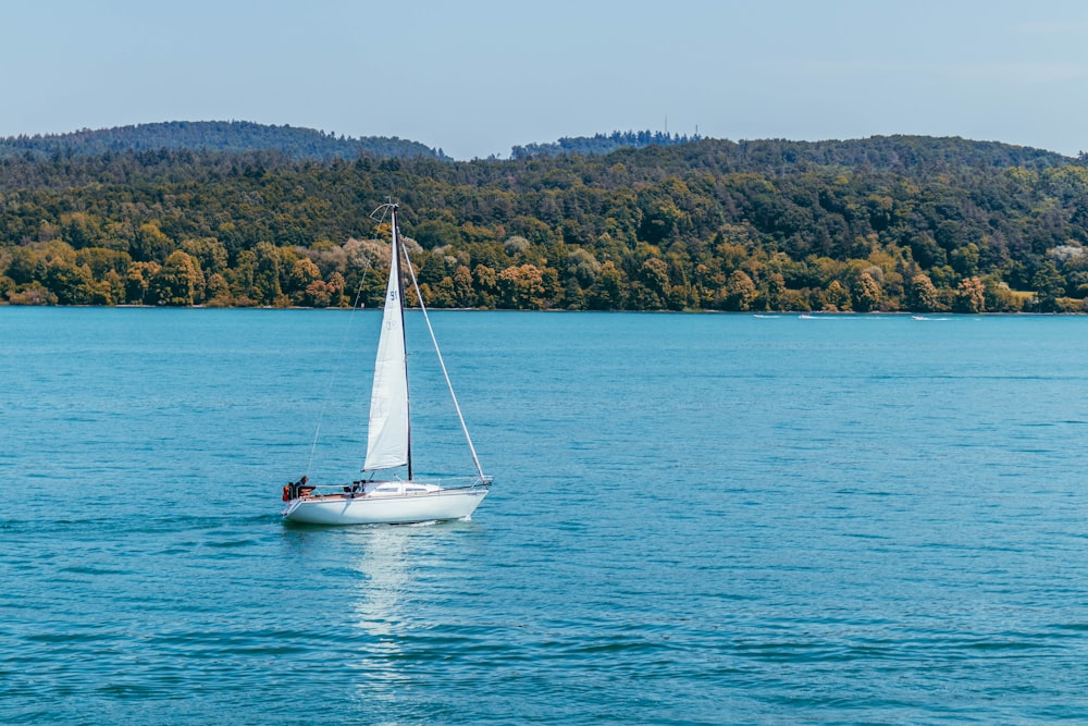 white sail boat on ocean