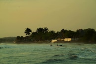A small boat floating near a quiet shore with palm trees swaying gently.