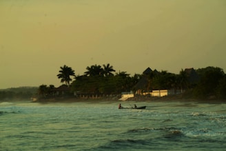 A small boat floating near a quiet shore with palm trees swaying gently.