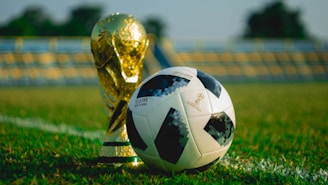 A gold trophy and a black-and-white soccer ball are placed on a green grass field. The background shows blurred stadium seating, suggesting a sports venue.