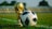 A gold trophy and a black-and-white soccer ball are placed on a green grass field. The background shows blurred stadium seating, suggesting a sports venue.