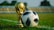A gold trophy and a black-and-white soccer ball are placed on a green grass field. The background shows blurred stadium seating, suggesting a sports venue.