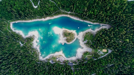aerial photography of body of water surrounded by trees at daytime