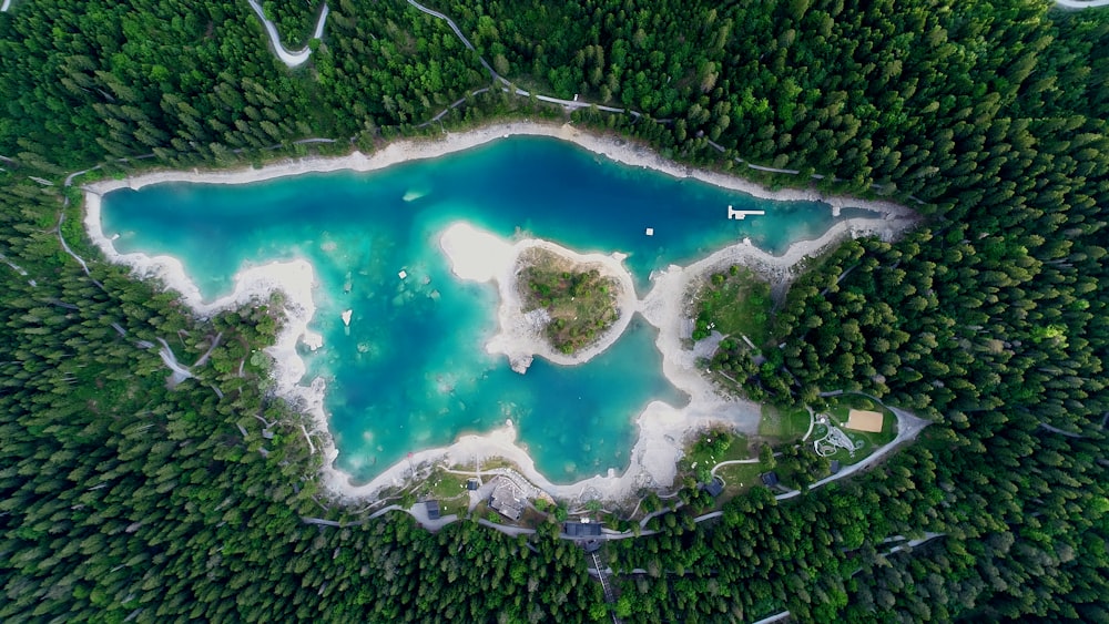 fotografia aérea de corpo d'água cercado por árvores durante o dia