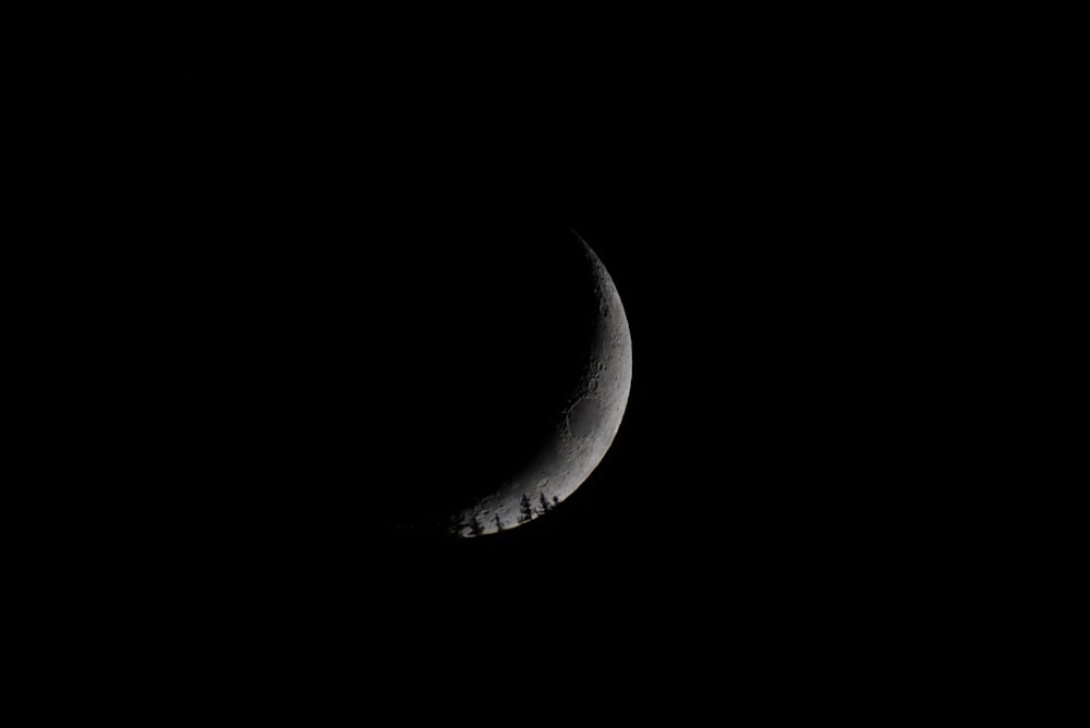 quarter moon photo