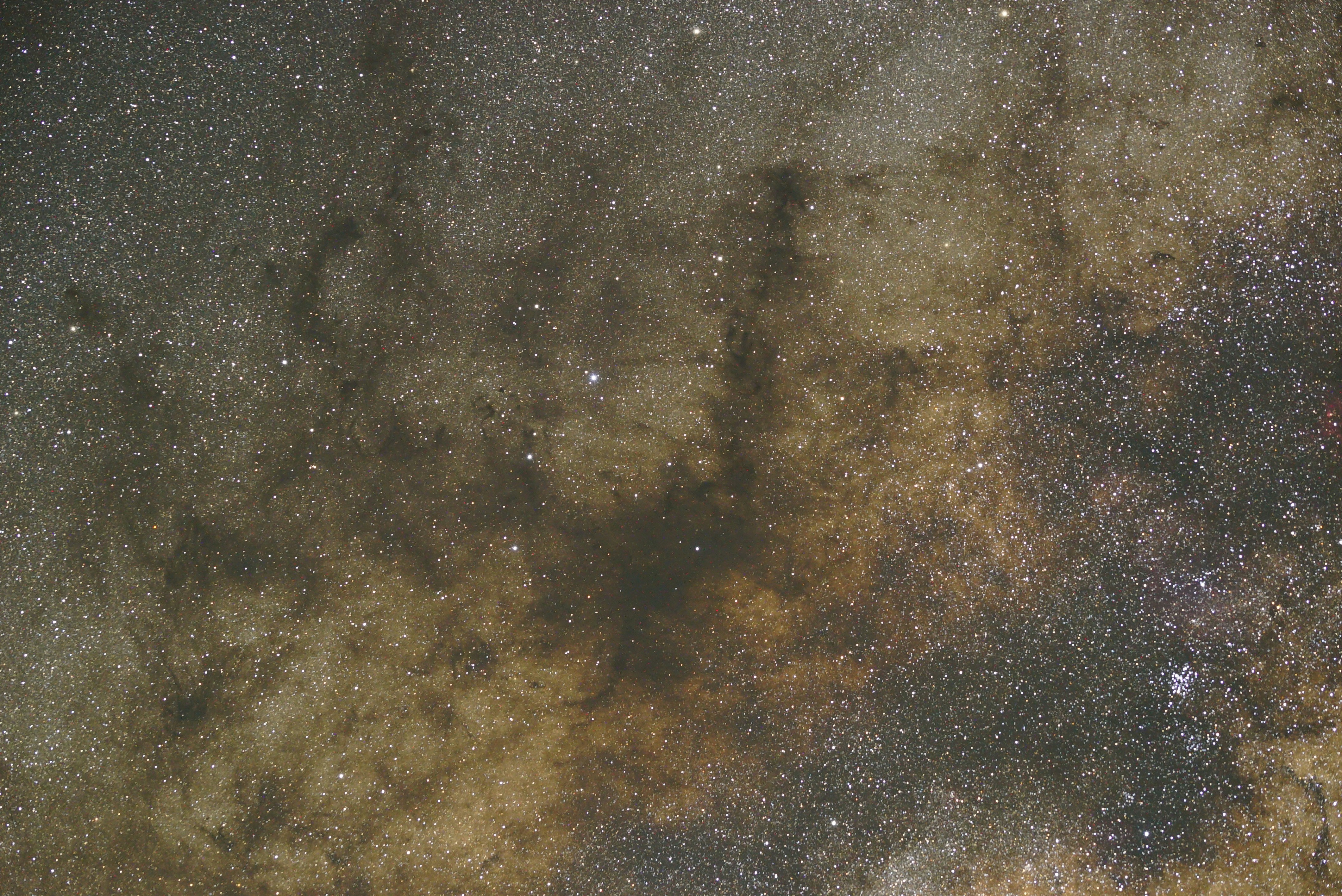 Photo by mirasteilas