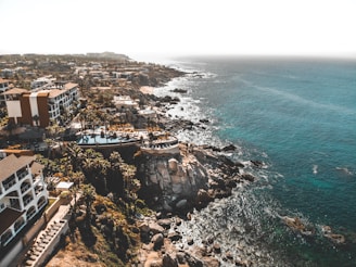 bird's eye photography of architectures and blue ocean under blue sky