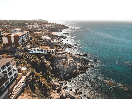 bird's eye photography of architectures and blue ocean under blue sky
