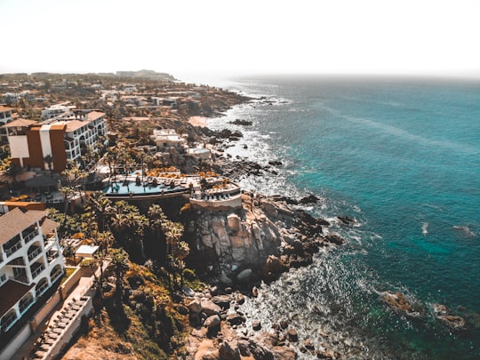 bird's eye photography of architectures and blue ocean under blue sky in Cabo San Lucas Mexico