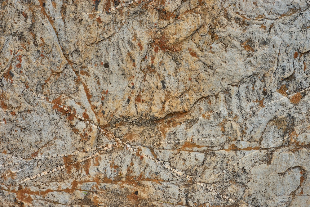 a close up of a rock wall with brown and white paint