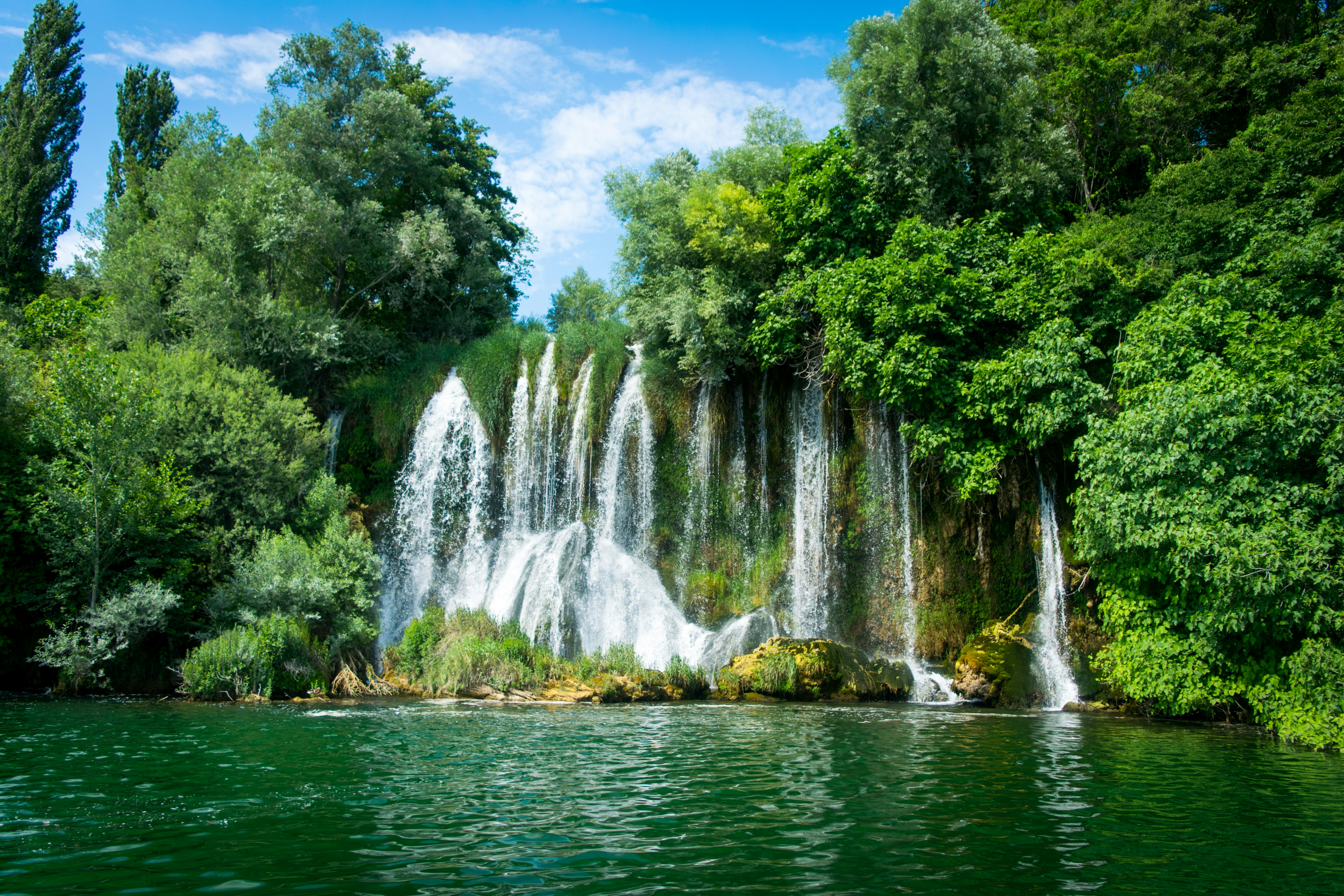 waterfalls surrounded by trees