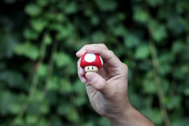 person holding Super Mushroom