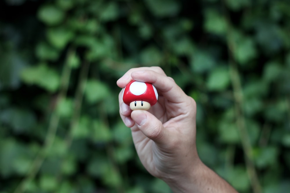 personne tenant un Super Champignon