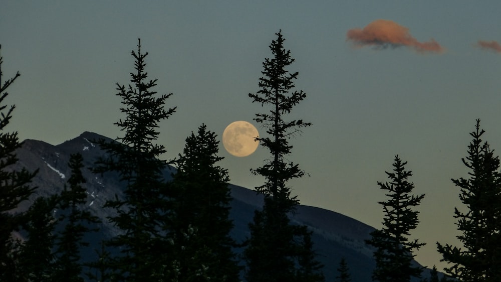 mountain and moon landscape photography