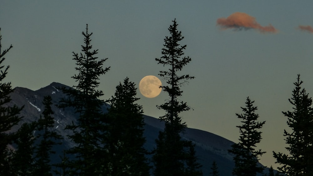 Fotografía de paisajes de montaña y luna