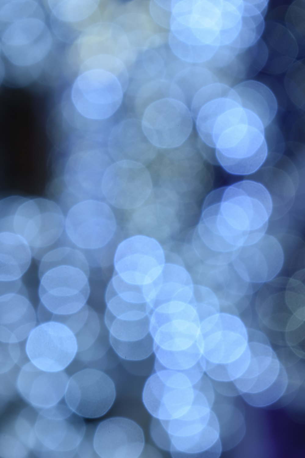 closeup photo of white bokeh light