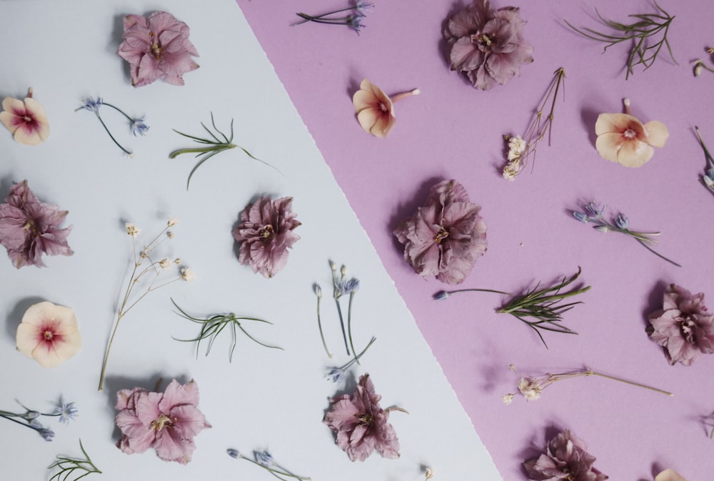 wallpapers | 4 best free wallpaper, flower, flatlay and flat lay photos