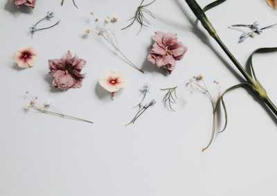 floral artwork on surface minimalist zoom background