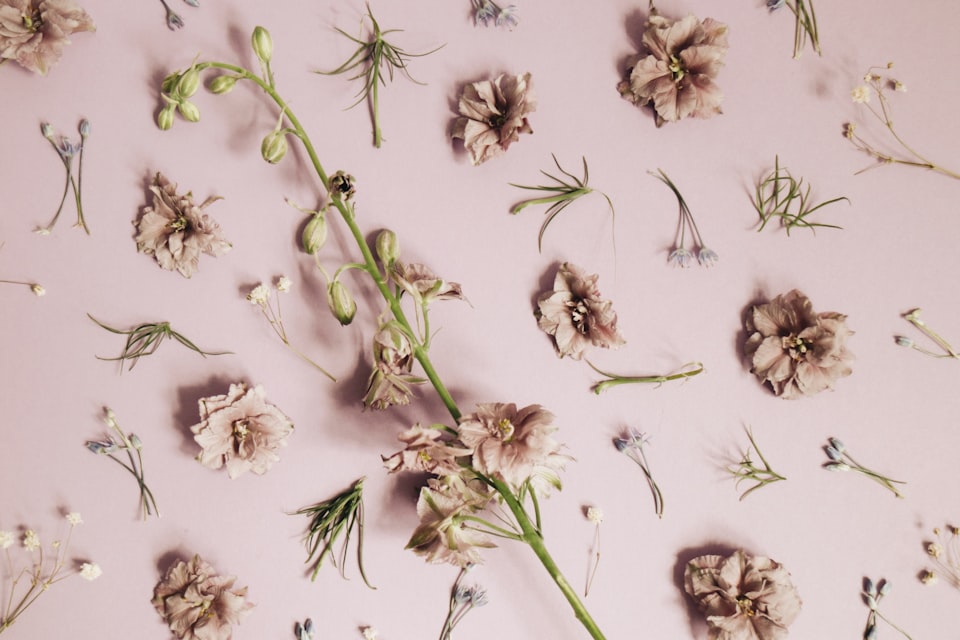 10 consigli per la cura dei fiori secchi