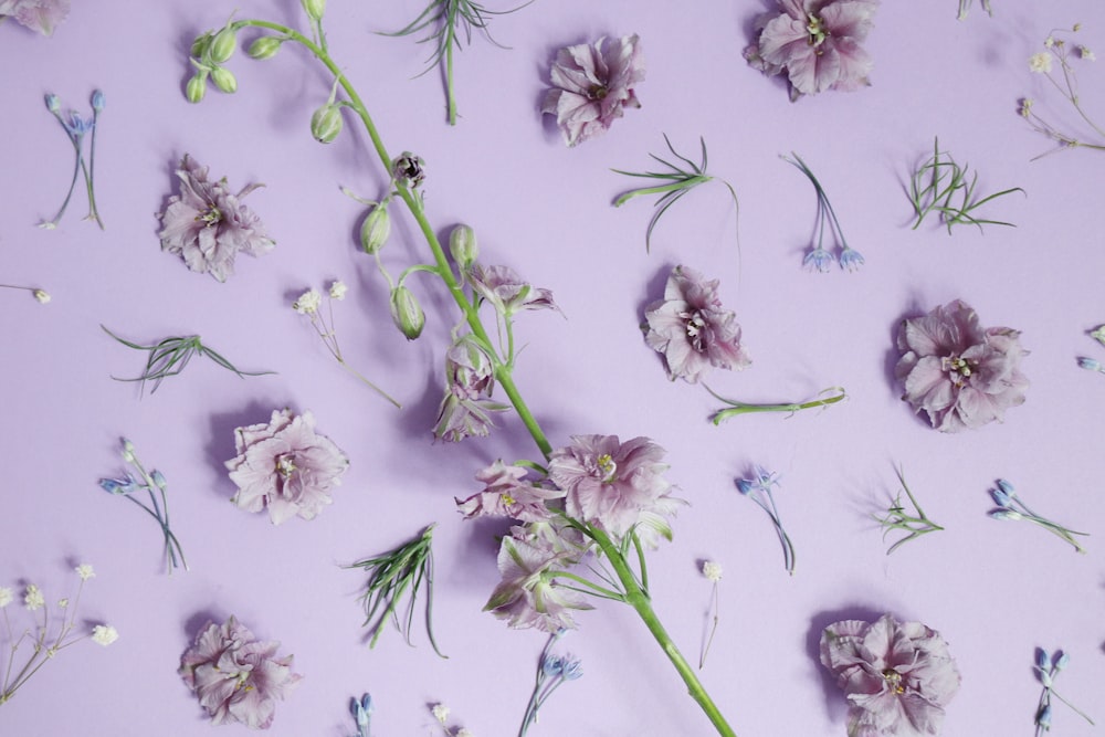 décor de fleurs pétales violets