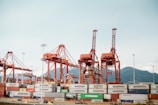 Several large container cranes are positioned at a busy shipping port, with numerous stacked freight containers prominently displaying brand names like Maersk and Evergreen. The backdrop features a mountain range under a clear sky.