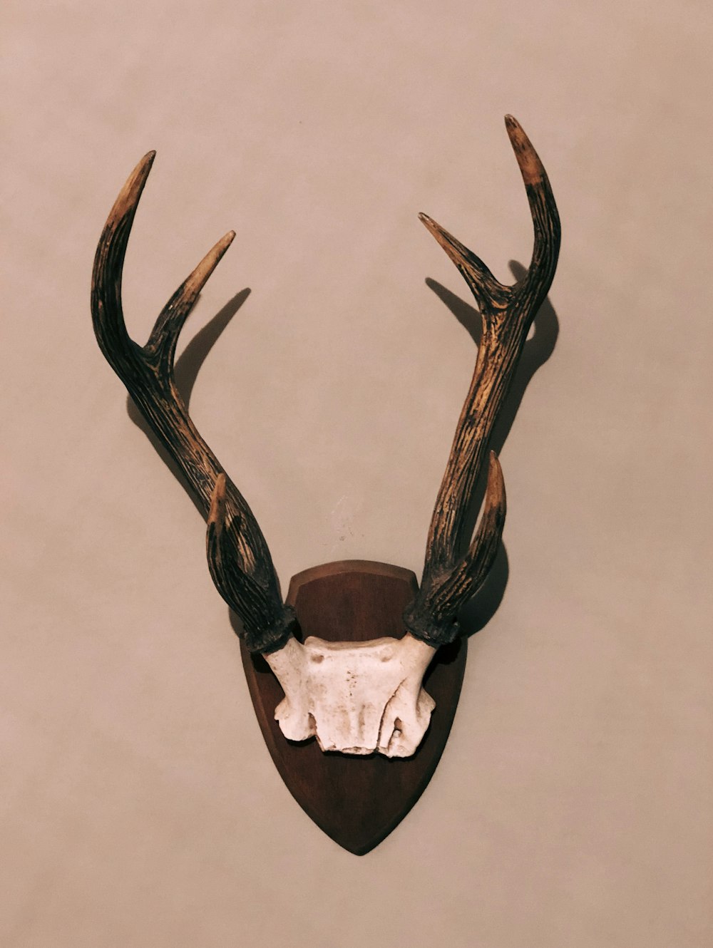 Deer Skull Earthenware Clay Pots Stock Photo 2268067955