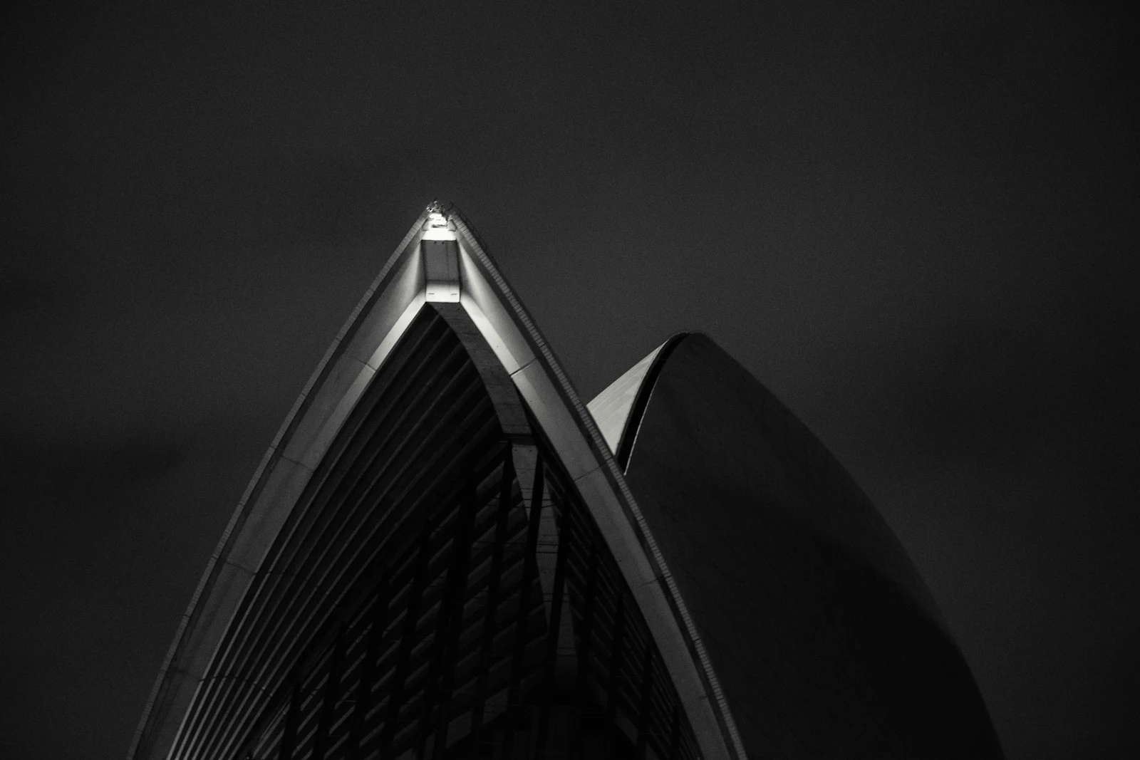 Black and white aerial view of Sydney harbour and city skyline