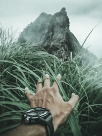 first person point of view of person clearing grass covering view showing mountain