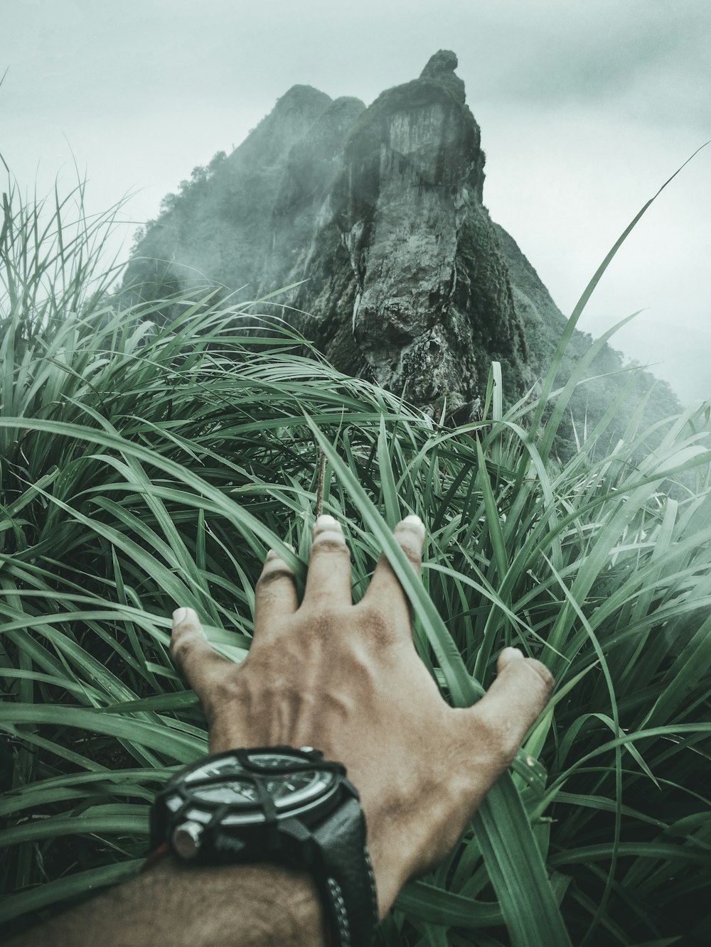 first person point of view of person clearing grass covering view showing mountain