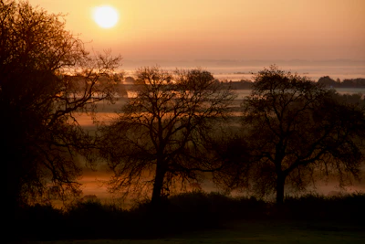 A serene Australian landscape blending into soft morning light, symbolizing the transition from haze to clarity.