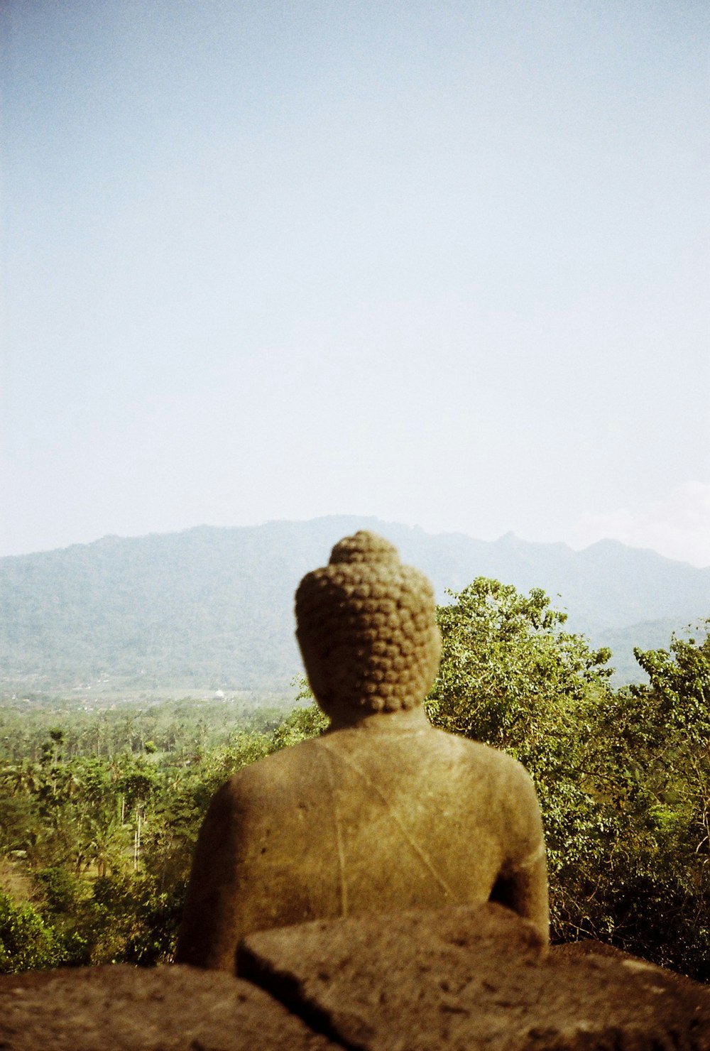 estatua de Buda de hormigón gris cerca de árboles de hojas verdes