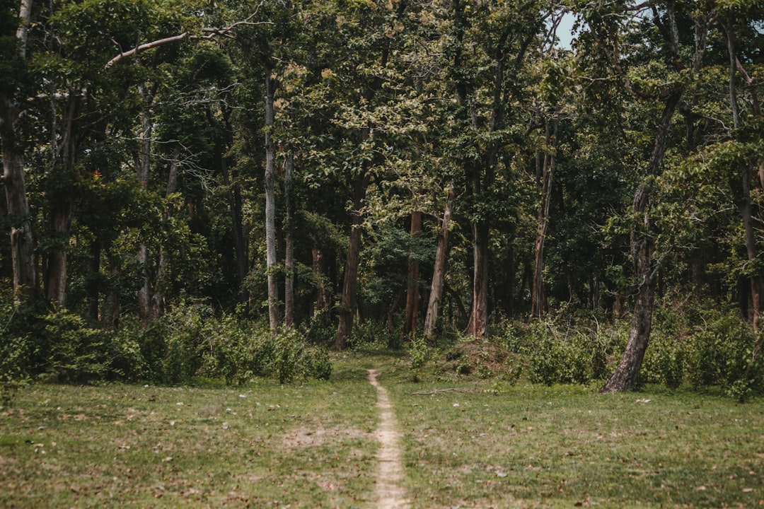 Forest photo spot Elephant Corridor Coorg India