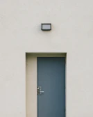 A minimalist door with a grey storm-colored dog door, sunlight casting shadows.