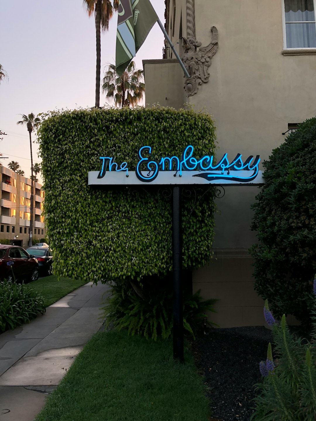 blue The Embassy signage near plant