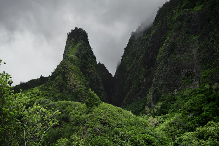 Tropical Plantation & Iao Valley Tour