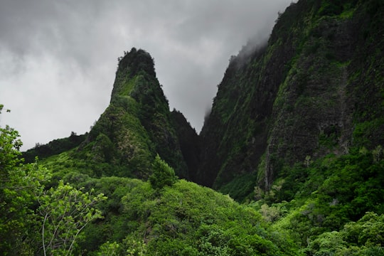 landscape photo of green mountain in Iao Valley State Park United States