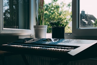 A serene studio corner with a keyboard, sheet music, and a small potted plant bathed in natural light.