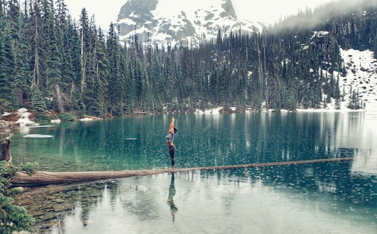 woman standing beside body of water in Joffre Lakes Provincial Park Canada