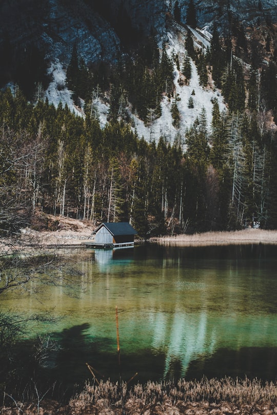 gray and black cabin beside lake in Leopoldsteinersee Austria