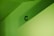 green painted wall