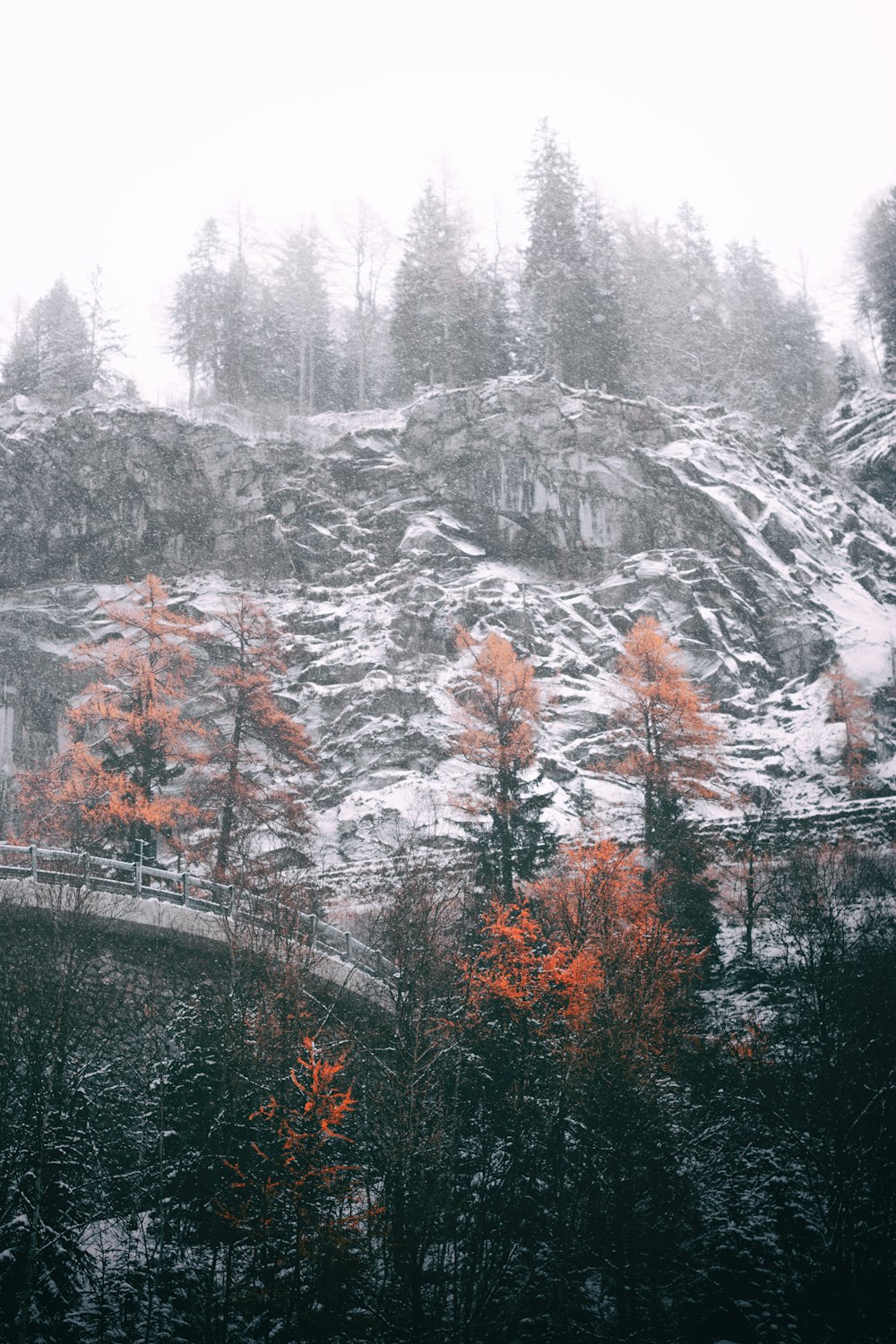 snow covered mountain