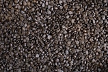 coffee bean lot