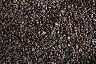 coffee bean lot