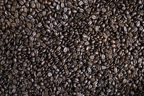 coffee bean lot