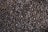 A close-up view of numerous dark roasted coffee beans filling the image. The beans are tightly packed and exhibit a glossy, oily surface characteristic of freshly roasted coffee. The irregular shapes and natural texture of the beans are clearly visible.